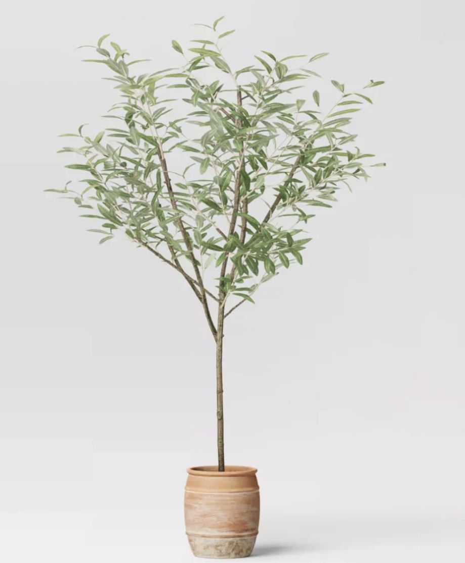 72" Olive Artificial Tree with Cement Pot - Thresholdâ„¢ designed with Studio McGee