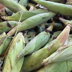 Elotes