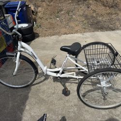 Alameda 3 Wheeler Trike 