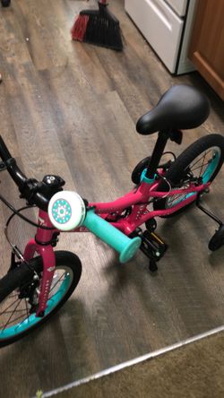 Pink Aqua Guardian 14 Inch Bike
