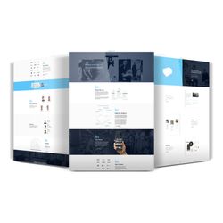 Website Development and Social Media Management