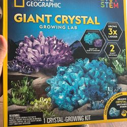 National Geographic Giant Crystal Growing Lab