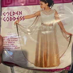Golden Goddess Costume