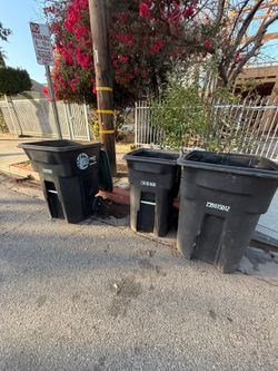 Trash Bin Cleaning - Exterior Wash