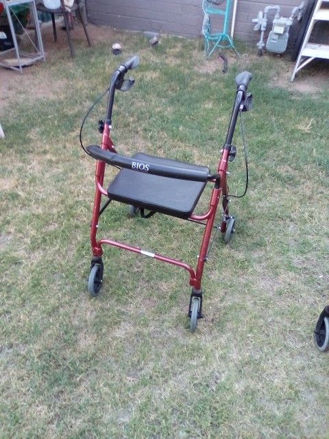 BIOS Diagnostics Seated Walker