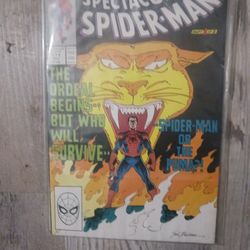 The Spectacular Spiderman #171