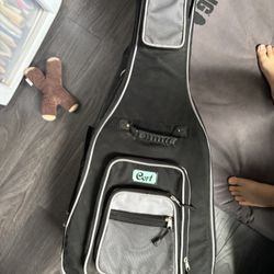 Alvarez Guitar Model 5022