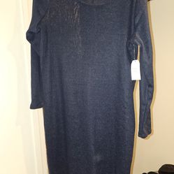 Womens Size Xxl 2xl Blue Knit Dress Knee Length 