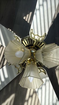 Ceiling fan - good condition and working