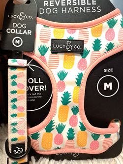 Dog Harness And Collar