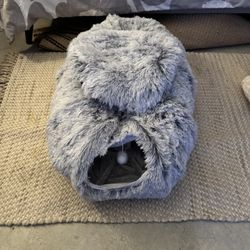 New Cat Tunnel Bed