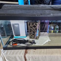 20 gallon fish tank set up
