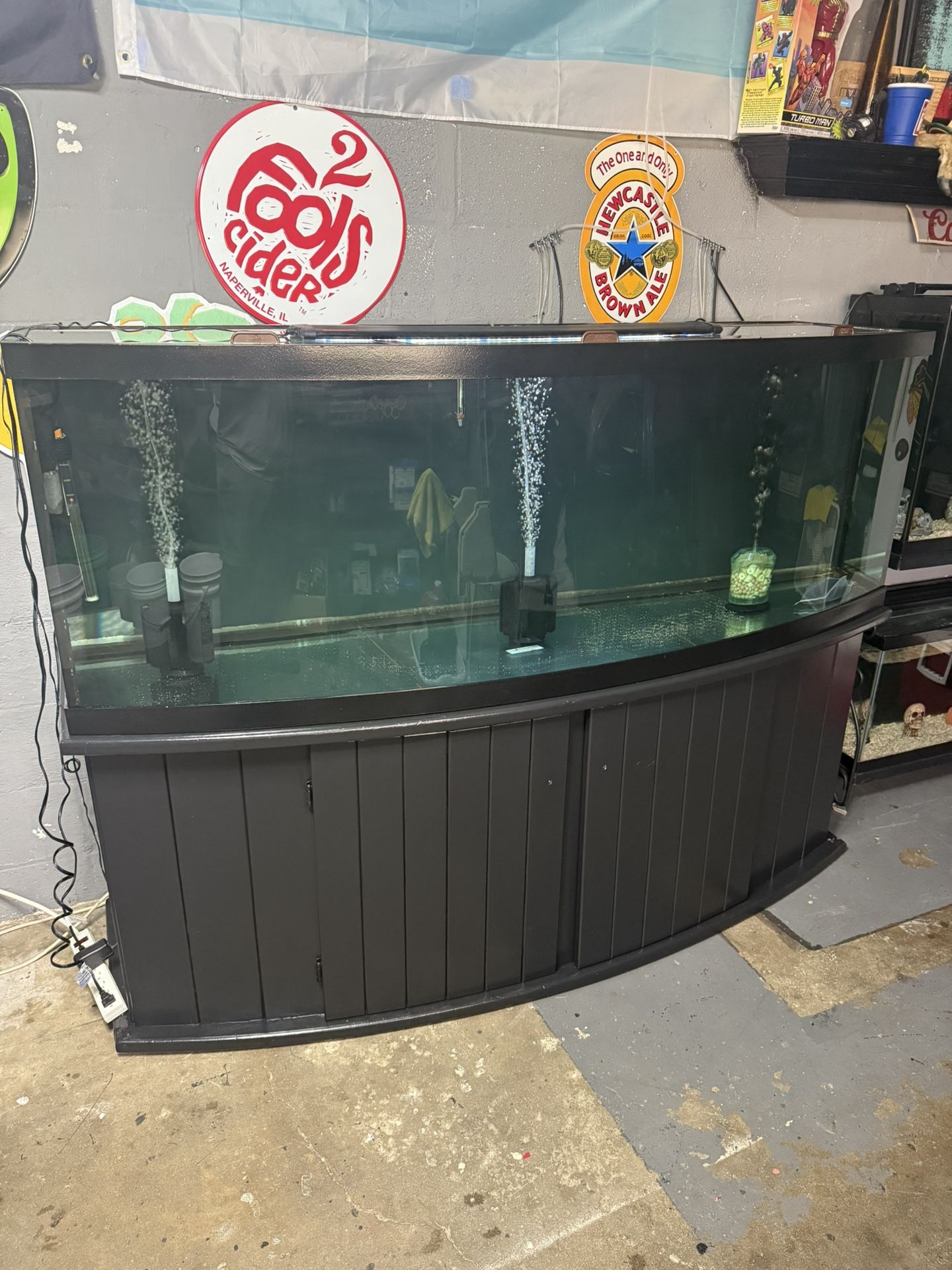 180 Gallon Bowfront Aquarium