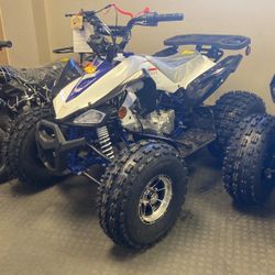 New Youth 125cc Automatic Sports Atv Quad 