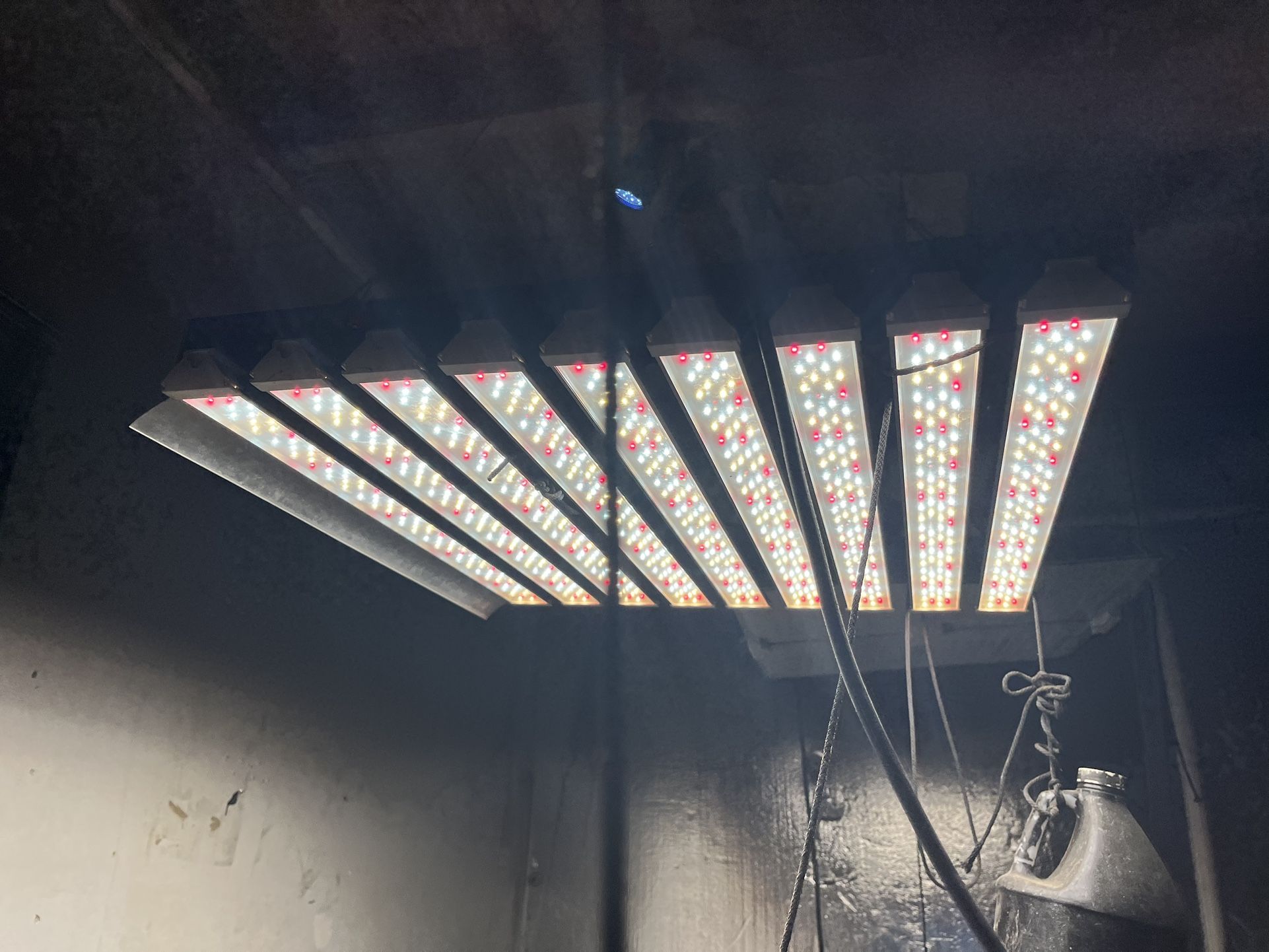 LED GROW LIGHTS