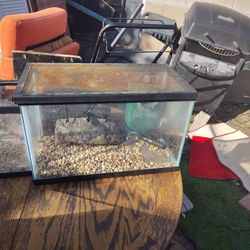 Reptile Aquarium Setup