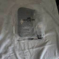 Coach Bag (Original)