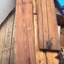 Brazilian Tulip Good For Live Edge Or Raisin Poor 