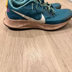 Nike Pegasus Trail 3