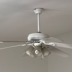 Ceiling Fan