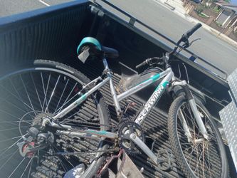 Wrangler swinn bike