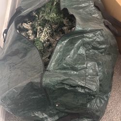 Free Christmas Tree 