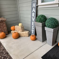 Outdoor Decor 