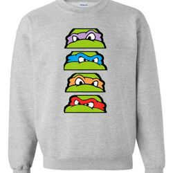 TMNT "Scenic Eyes" Sweatshirt 