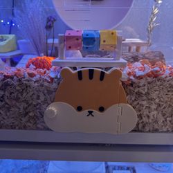  Cute Visible Hideout For Hamster