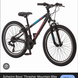 Schwinn Boys' Thrasher Mountain Bike - Black 24”