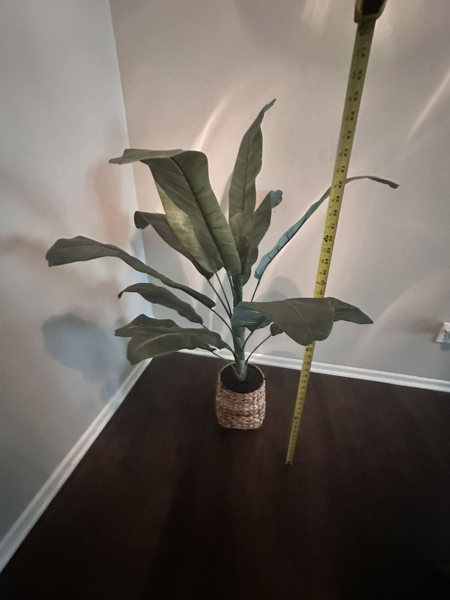 Fake Plant 
