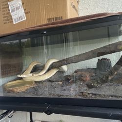Reptile Enclosure 
