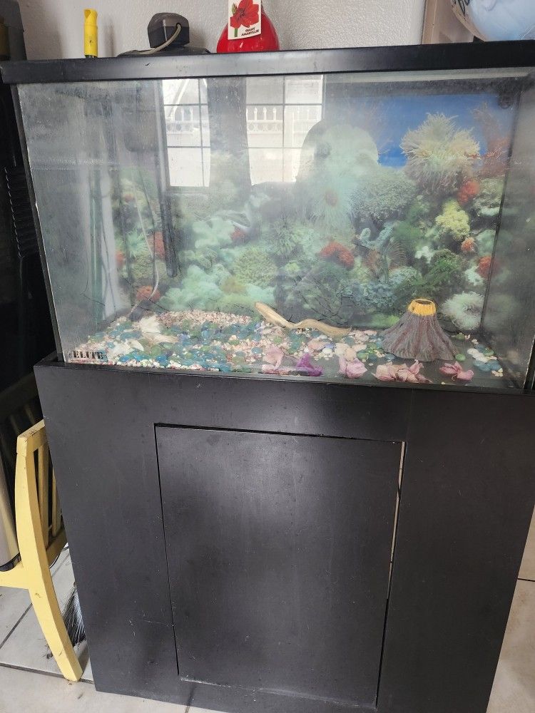 Pesera De 30 Galones Con Filtro Y Mueble Completa