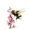 Flower bumblebee