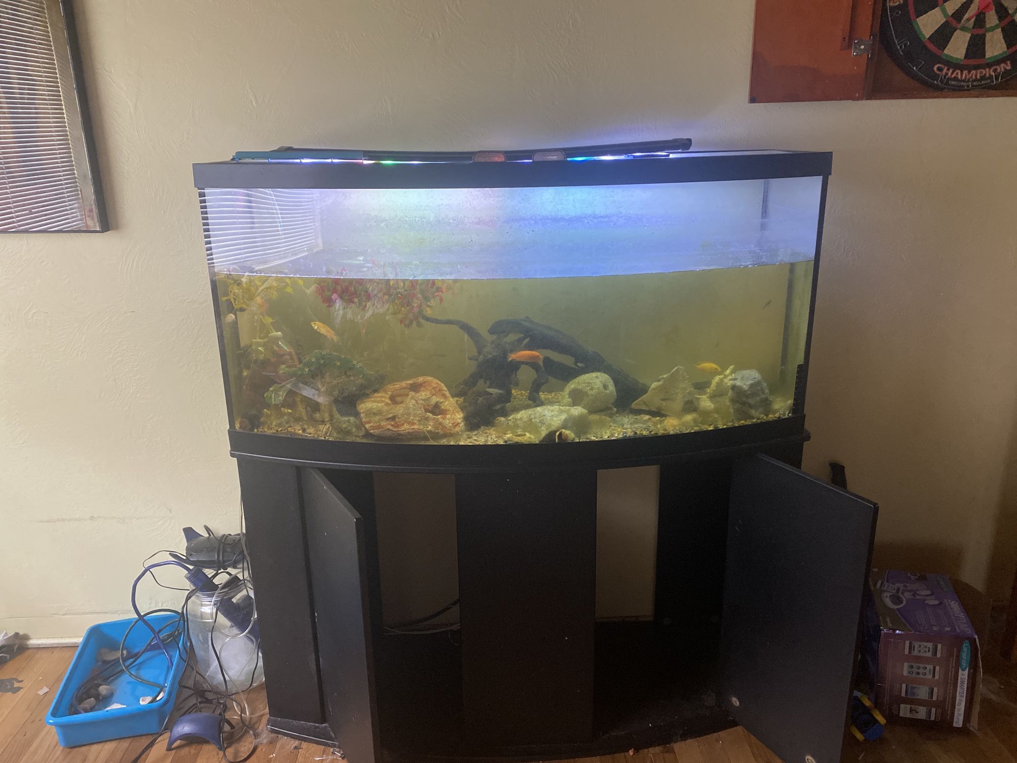 72 gallon fish tank with stand