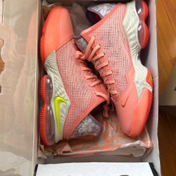 Nike LeBron Size 10.5
