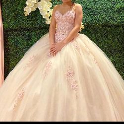 Quinceanera  Dress 👗 
