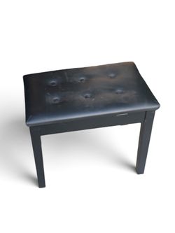 Black Padded Accent Bench – 21x14x19” Tall