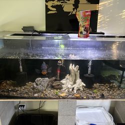 Aquariums/ Fish Tanks