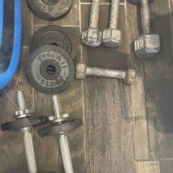 Adjustable Weights