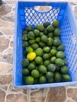 Valley lemons