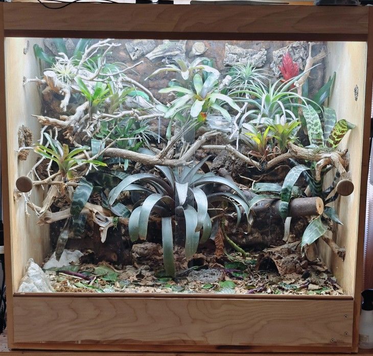 3x2x3 Reptile Enclosure (Custom)