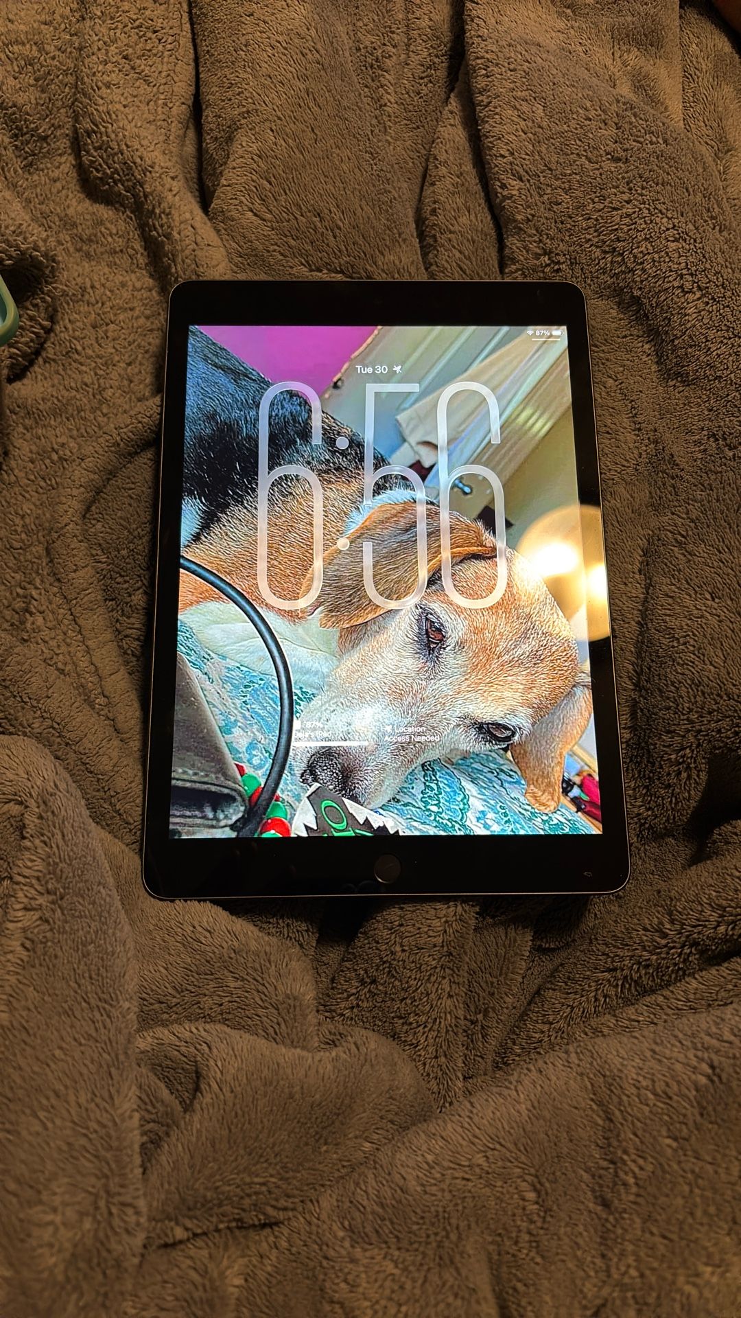 iPad 9th Generation