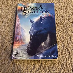 The Black Stallion Paperback