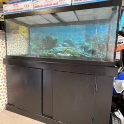 75 Gallons Fish Tanks 