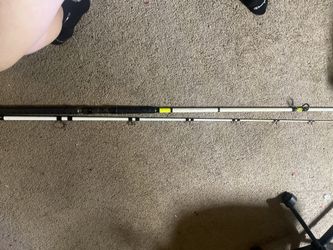 Two Fishing Rods Plus Free Bait