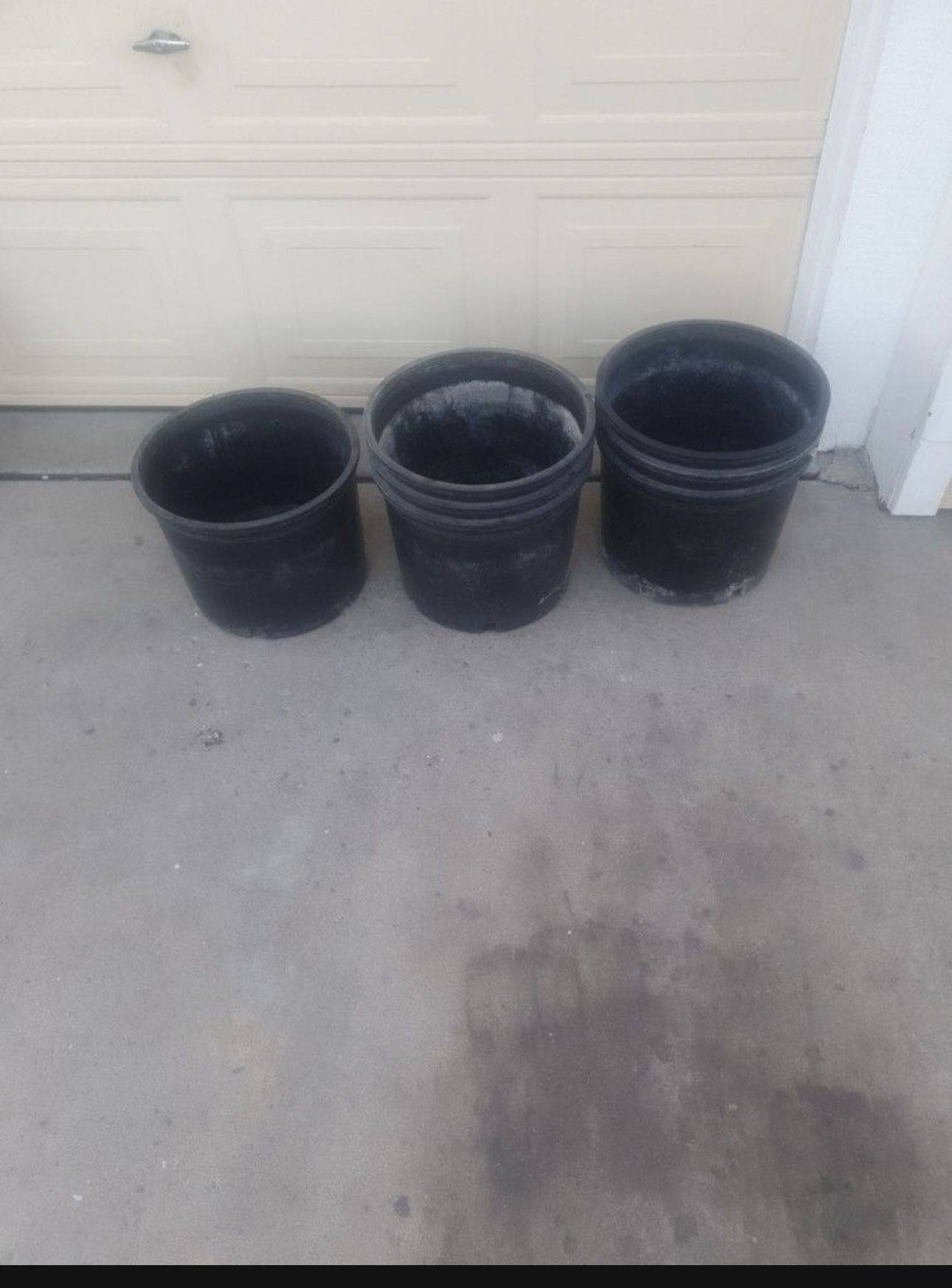 Flower Pot
