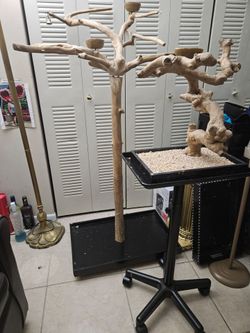 java tree