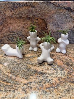 Live Air Plant Tillandsia with Ceramic People Pot $12 Each (Please read full description)
