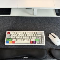 Custom Wireless Keyboard + LG Wireless Mouse